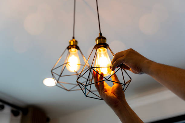 Best Outdoor Lighting Installation  in Trappe, MD