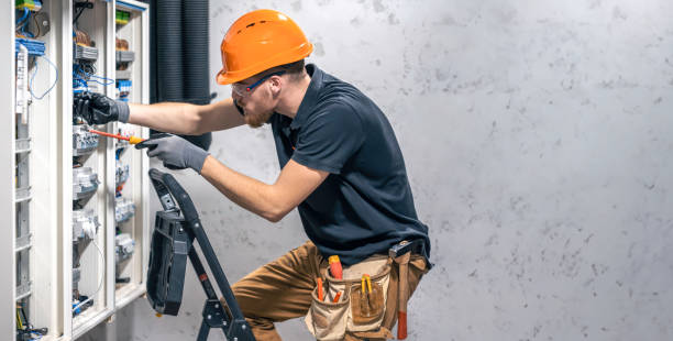 Best Electric Panel Repair  in Trappe, MD